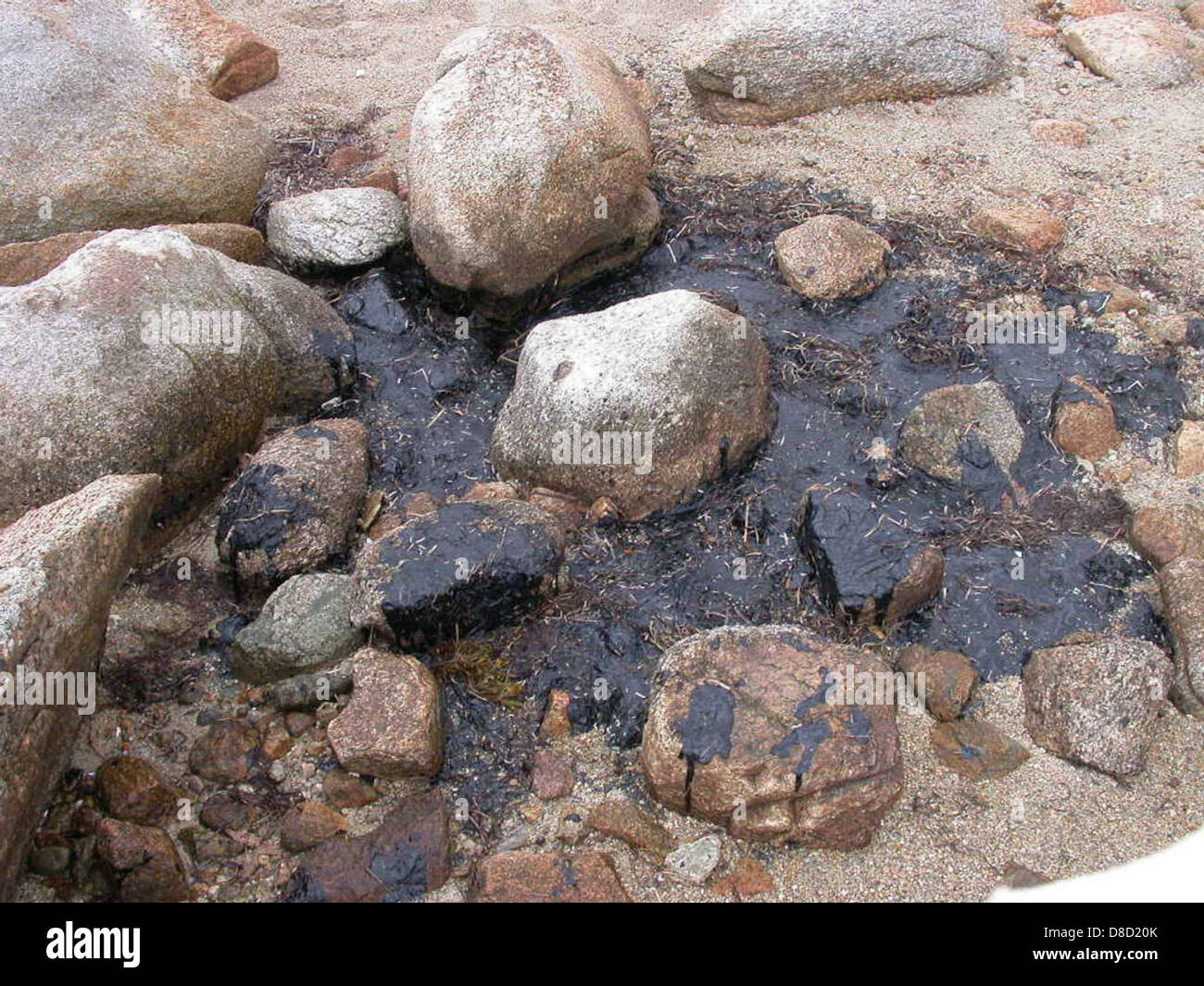 Oil spill on rocks Stock Photo Alamy