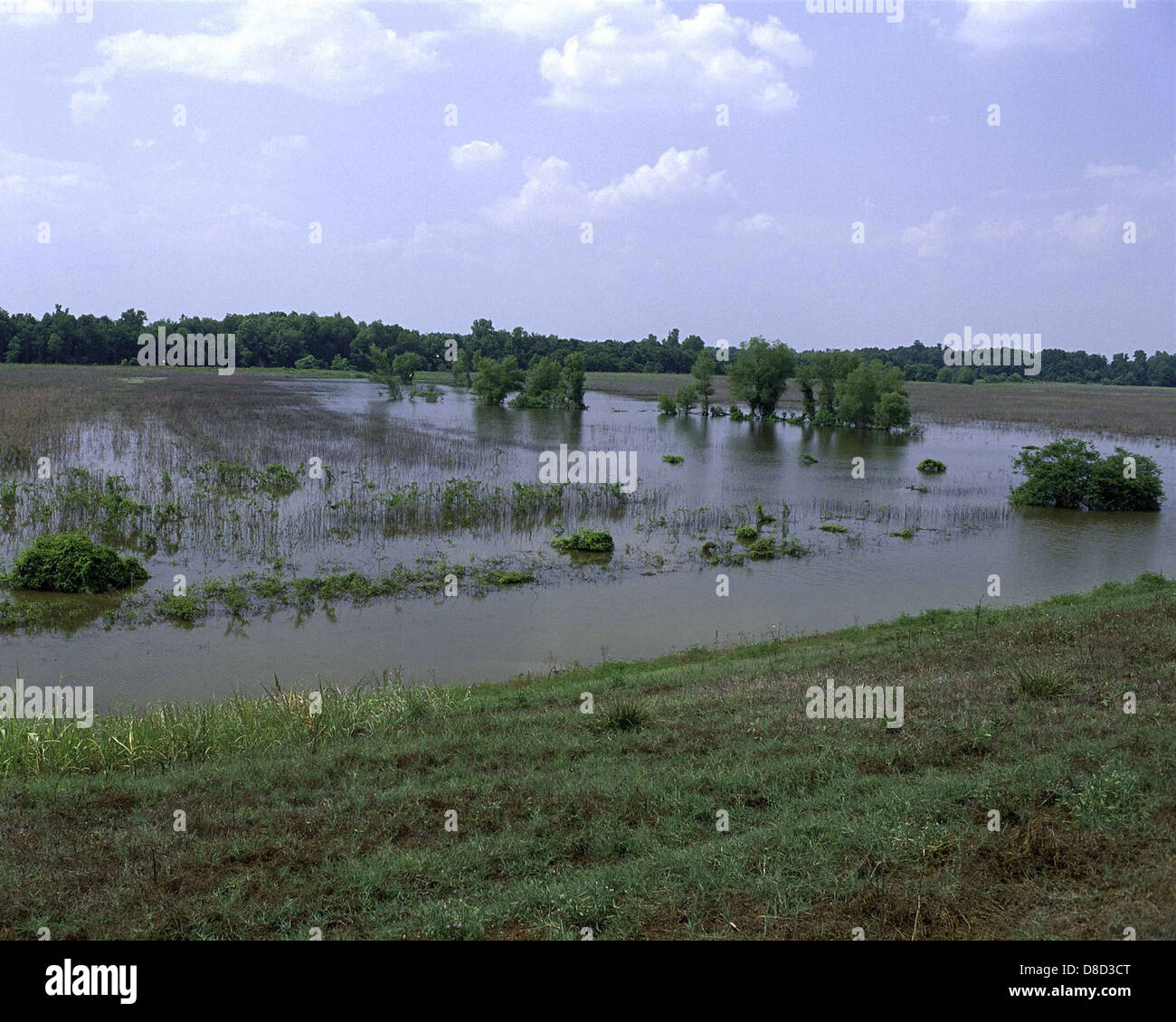 Panther swamp national wildlife refuge Mississippi Stock Photo Alamy