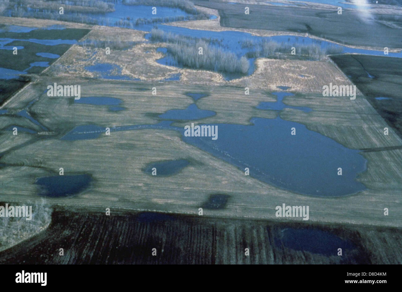Prairie pothole wetland Stock Photo - Alamy