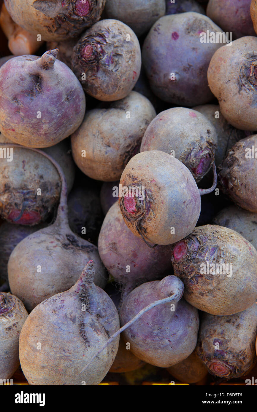Beet farmers hires stock photography and images Alamy