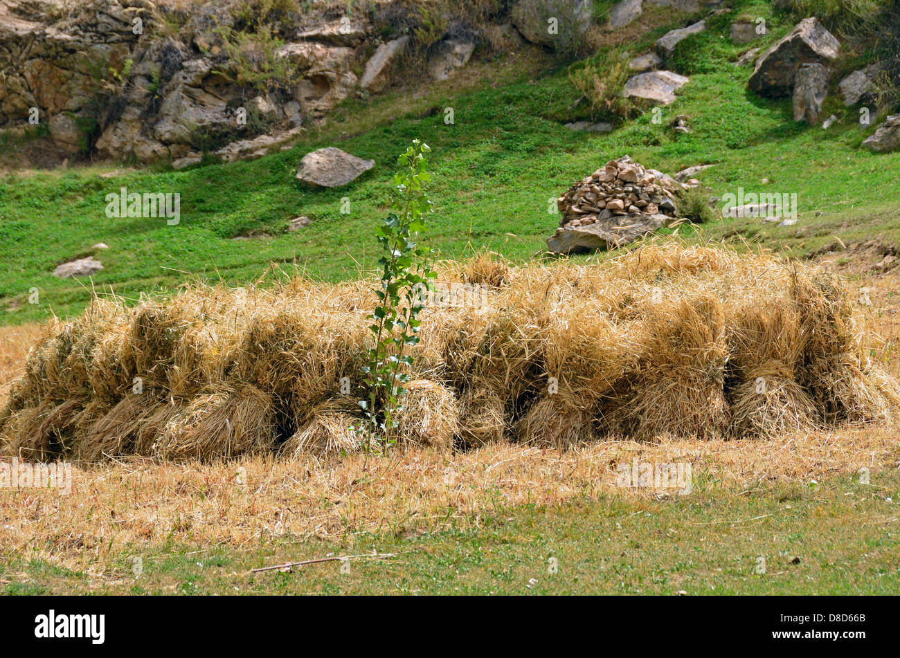 Haystacks hi-res stock photography and images - Alamy