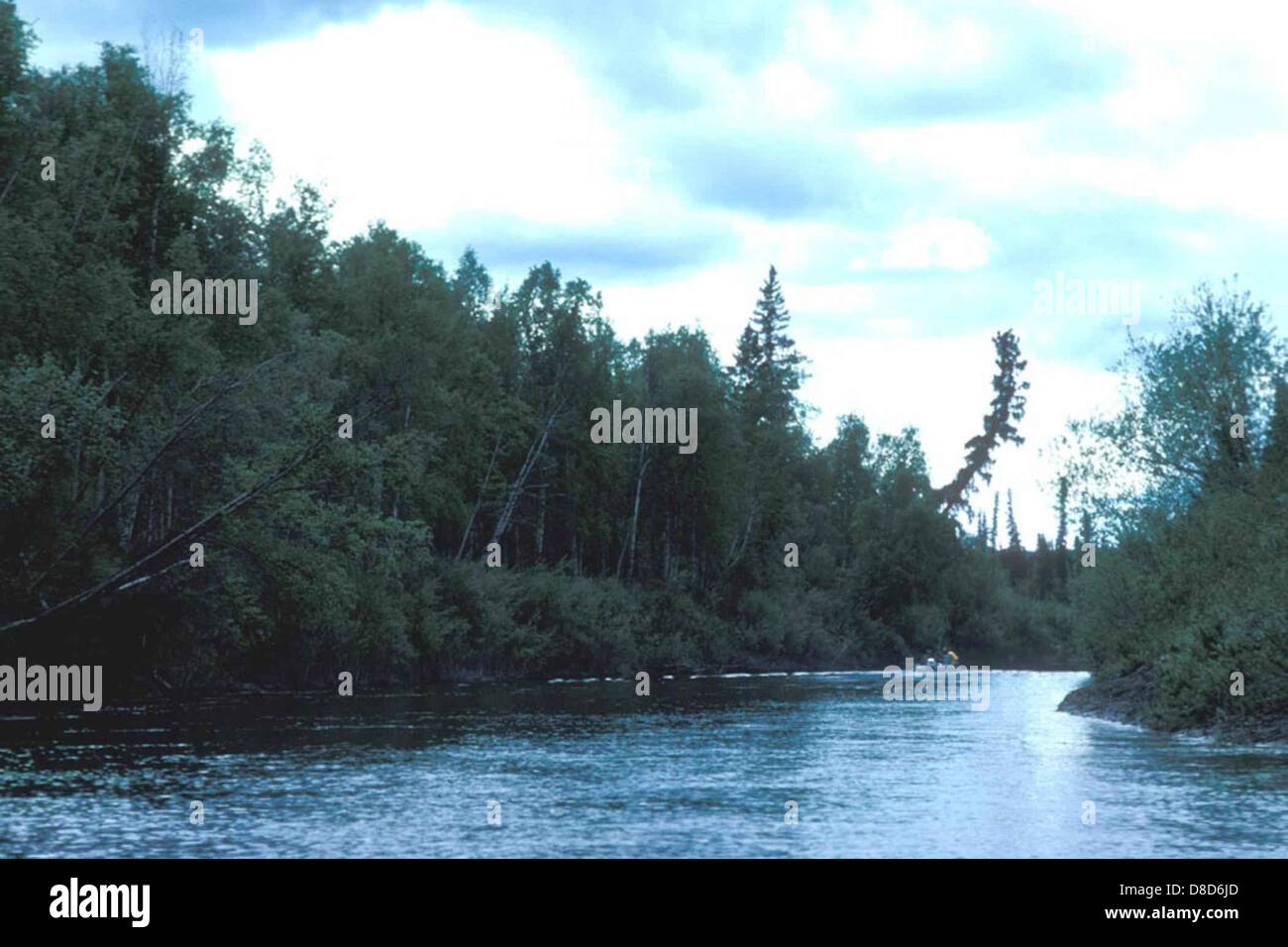 A person in a small boat navigating a river, surrounded by lush ...