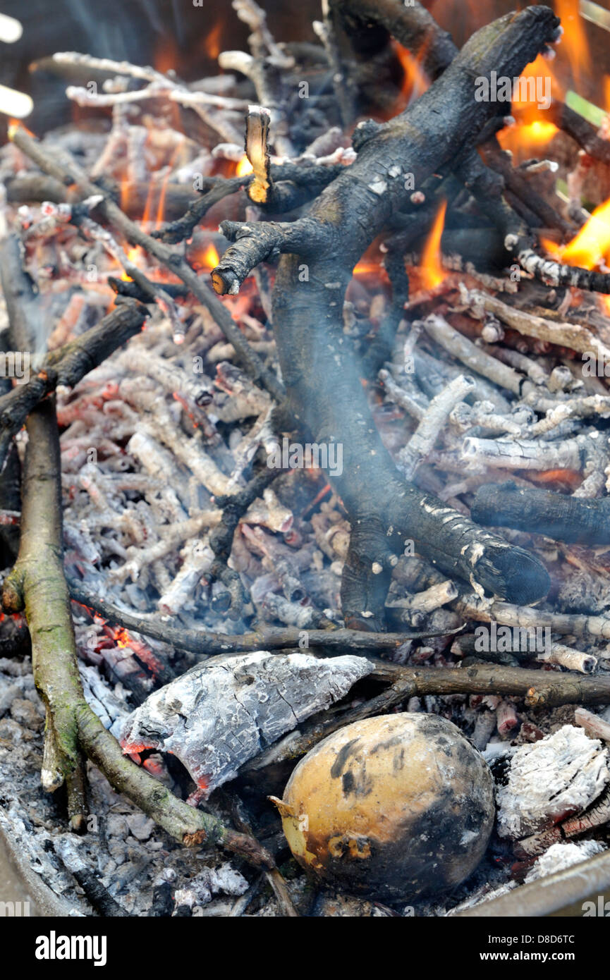 Potato cooking in open wood fire of barbecue Stock Photo Alamy