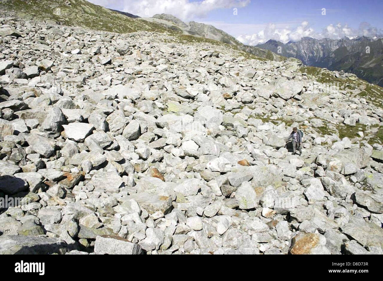 A pattern of rocks scattered on the ground, showcasing a natural ...