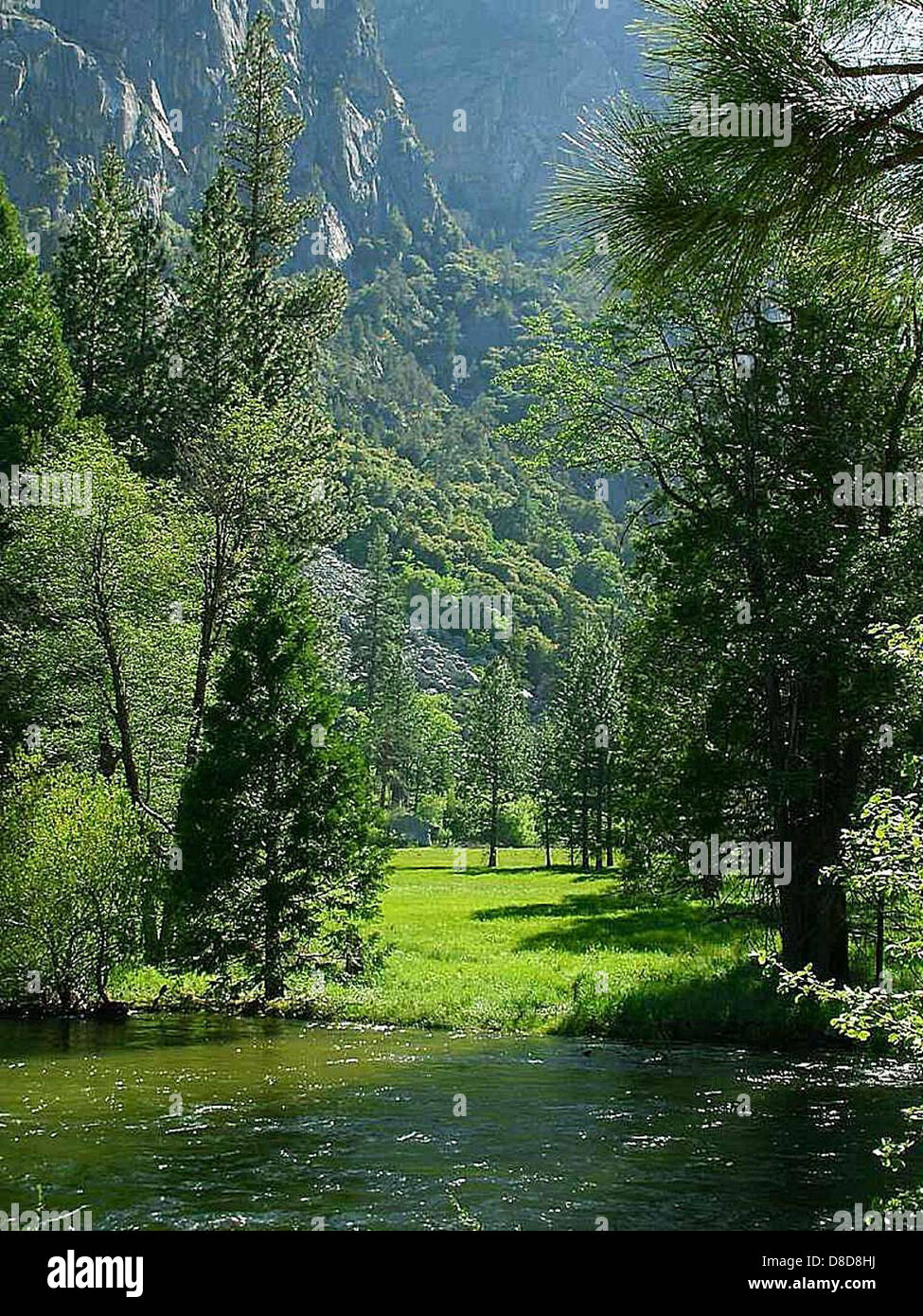 Sequoia parks meadows rivers streams trees green Stock Photo - Alamy