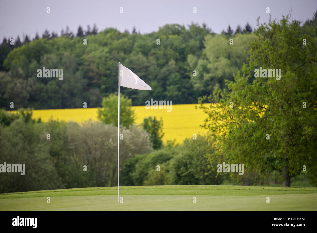 a flag on the green of a golf course in late spring Stock Photo