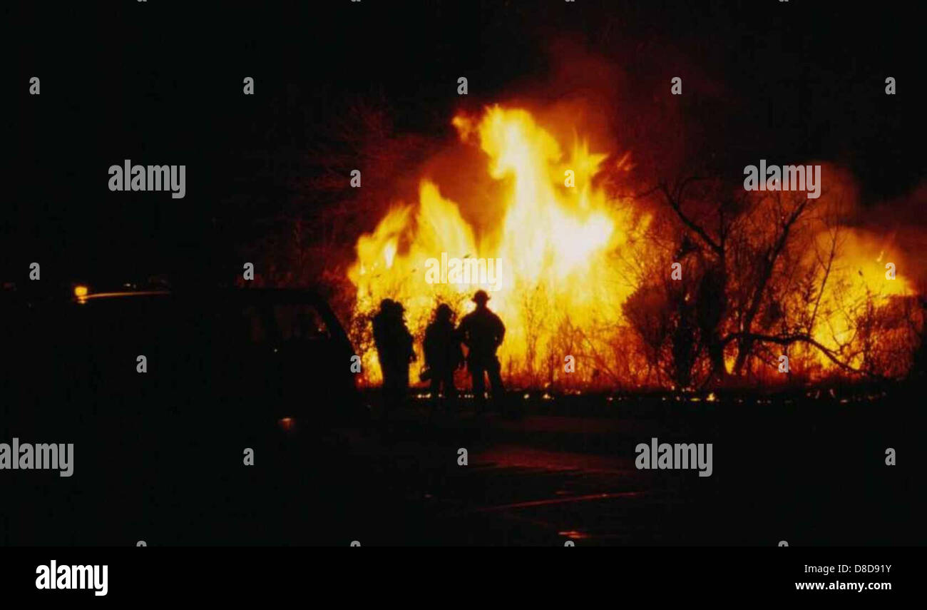 The silhouette of firefighters standing against a backdrop of roaring flames. This image captures the bravery and determination of firefighters during an emergency response in a dark, challenging environment. Stock Photo