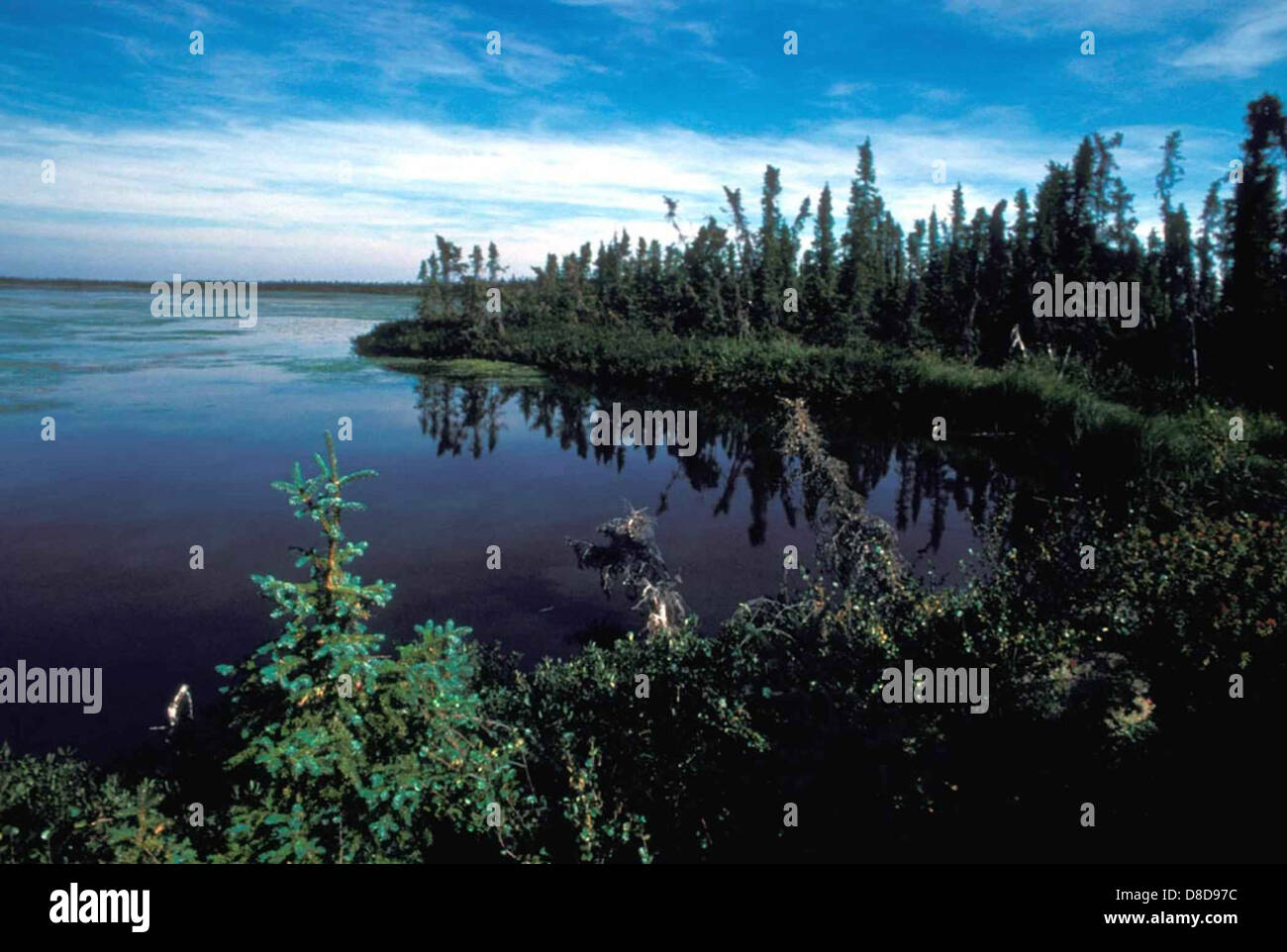 Six mile lake hires stock photography and images Alamy