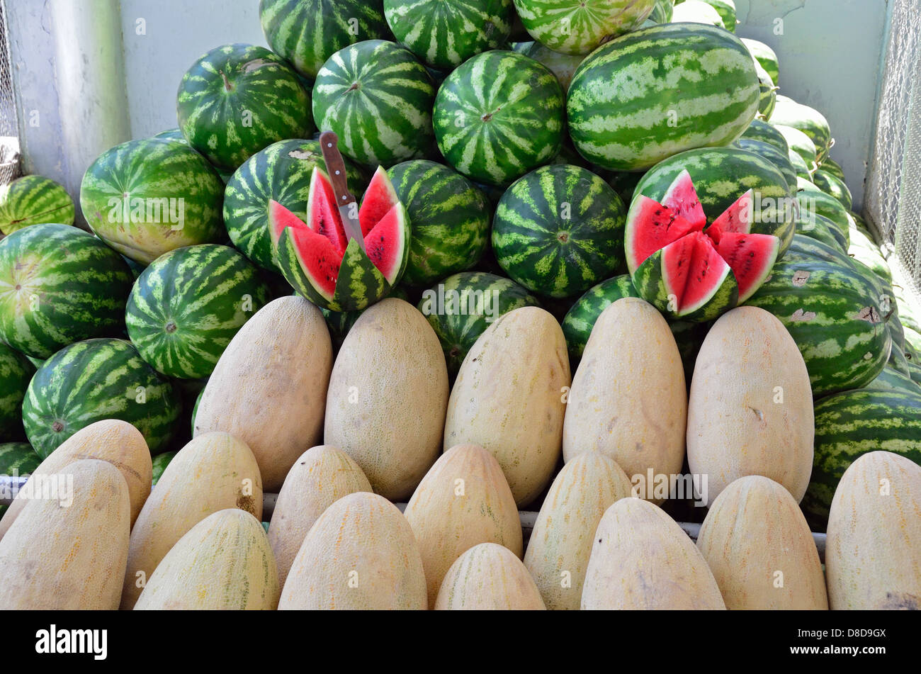 Melons for sale at Siob Bazaar in Samarkand Stock Photo Alamy