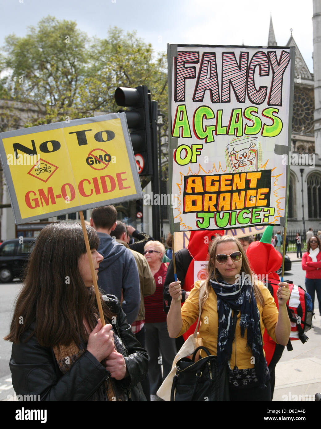 London, UK. 25th May, 2013. Protesters at a demonstration against Monsanto's production of GM food outside  on Parliament Square  Credit:  Mario Mitsis / Alamy Live News Stock Photo