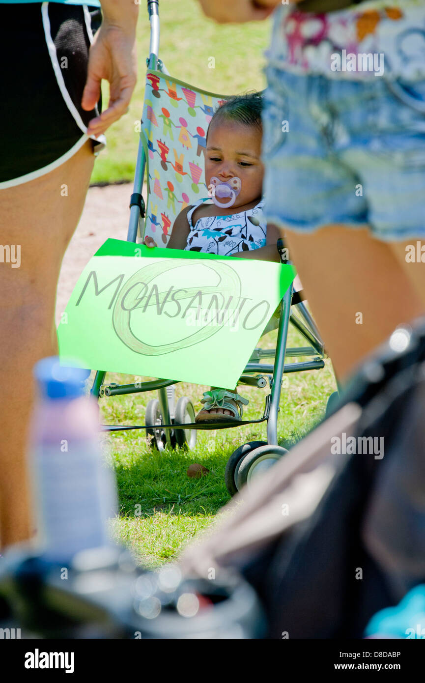 Protesters join worldwide "March Against Monsanto" marches to protest the safety and non-labeling of GMO foods Stock Photo