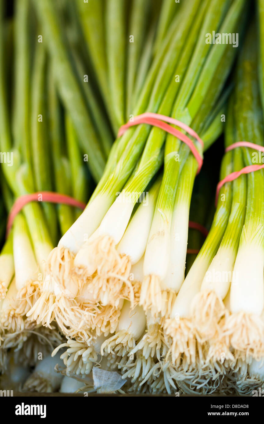 Fresh produce on sale at the local farmers market Stock Photo - Alamy
