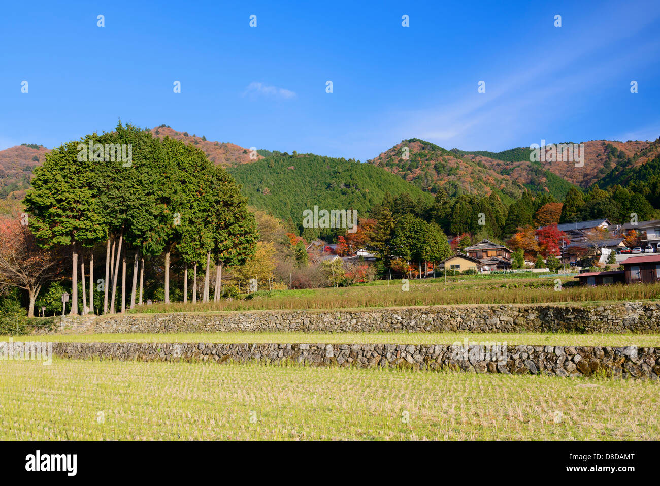 Sanzenin Temple and Ohara village Stock Photo