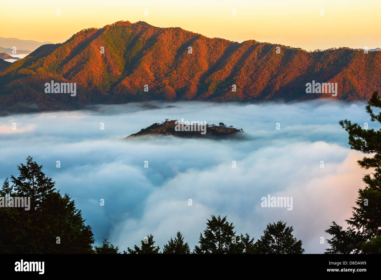 Takeda Castle and the sea of clouds Stock Photo