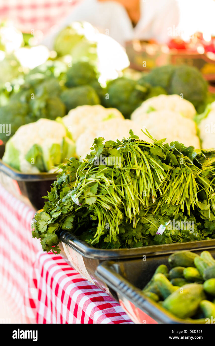 Fresh produce on sale at the local farmers market Stock Photo - Alamy