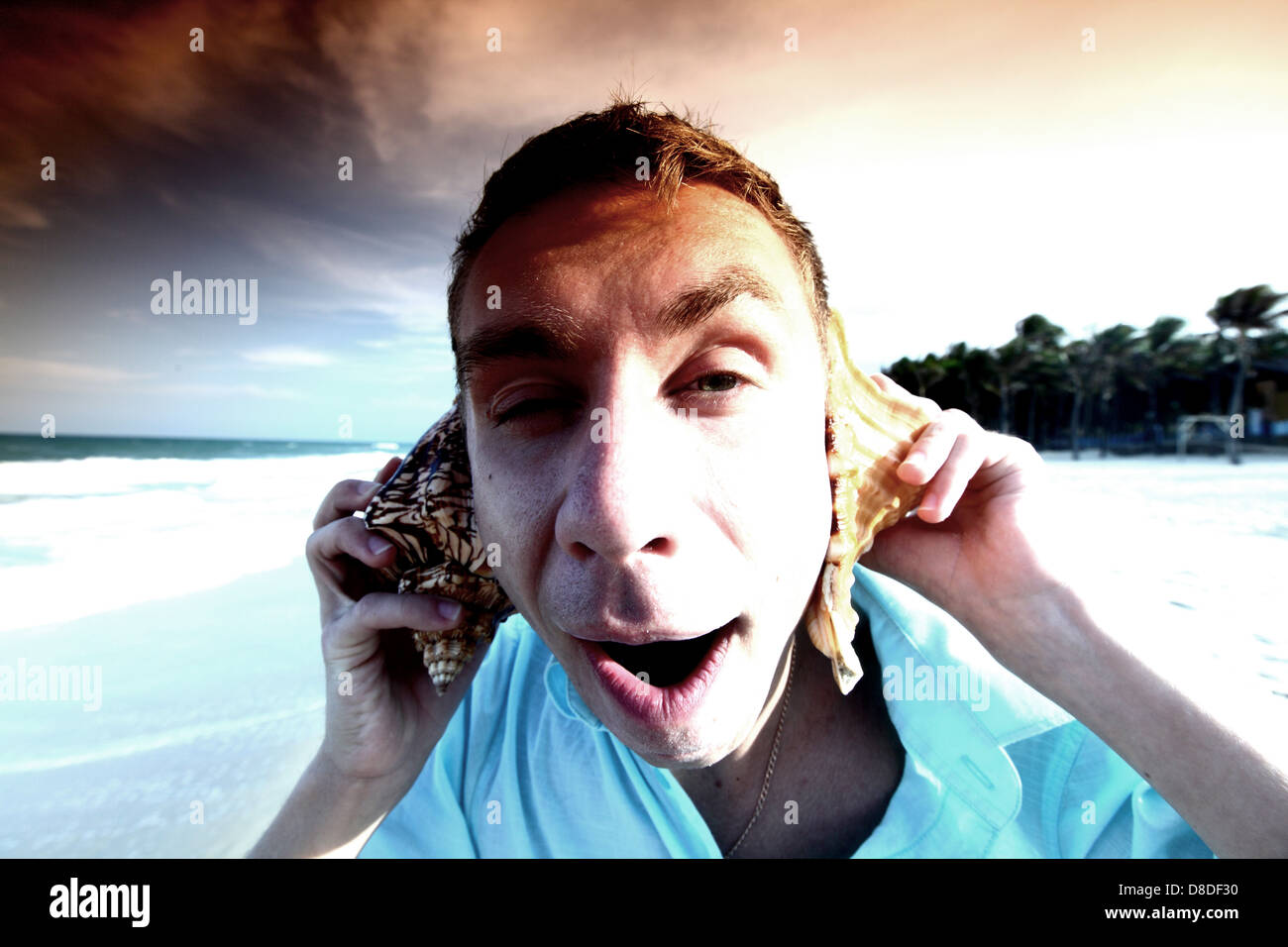 Listen to shell hi-res stock photography and images - Alamy