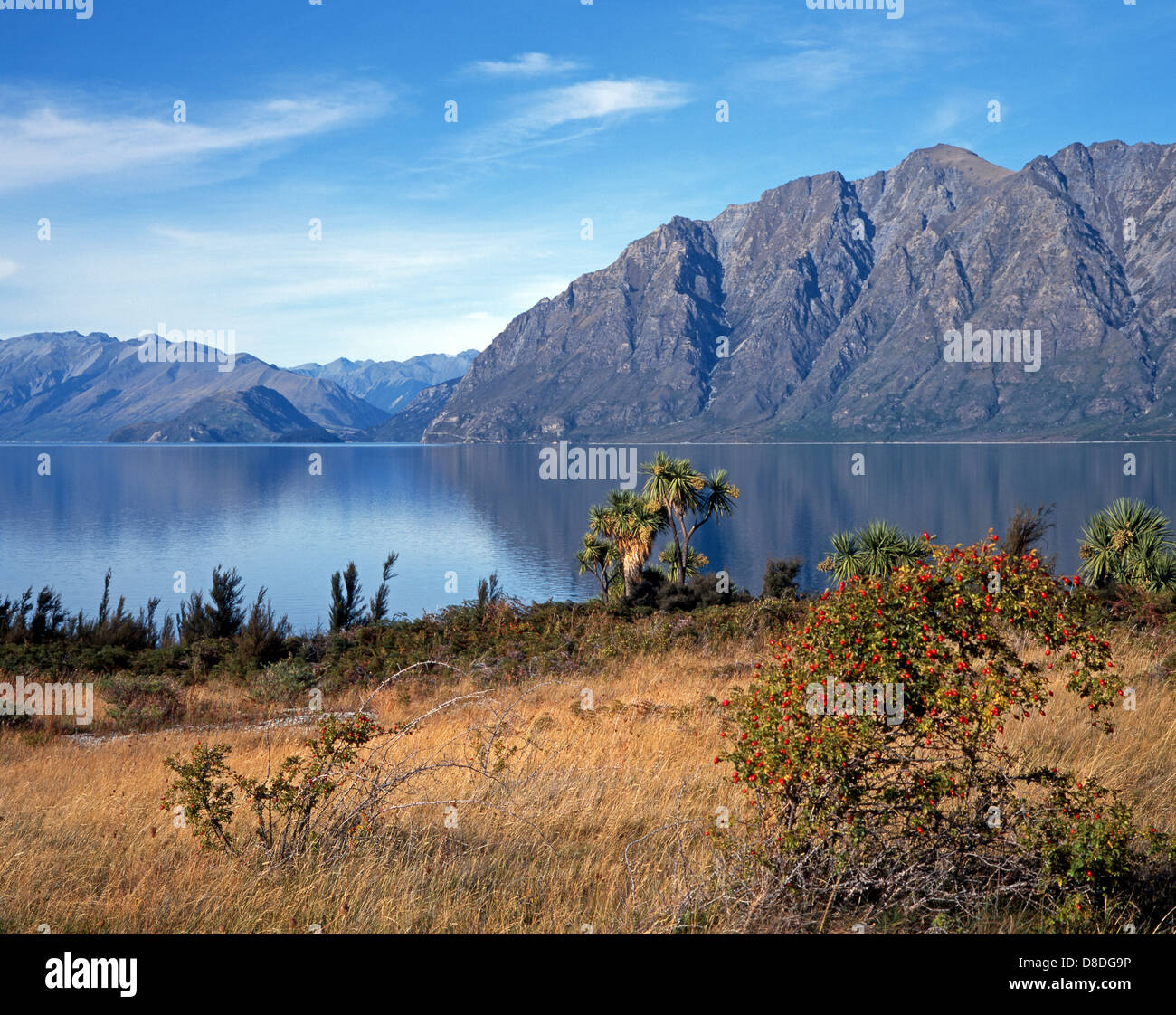 View across Lake Dunstan towards mountains, Near Cromwell, Otago Region, South Island, New Zealand. Stock Photo