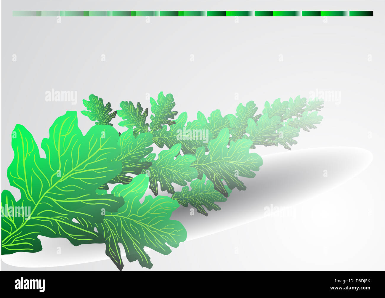 background with green oak leaves Stock Photo - Alamy