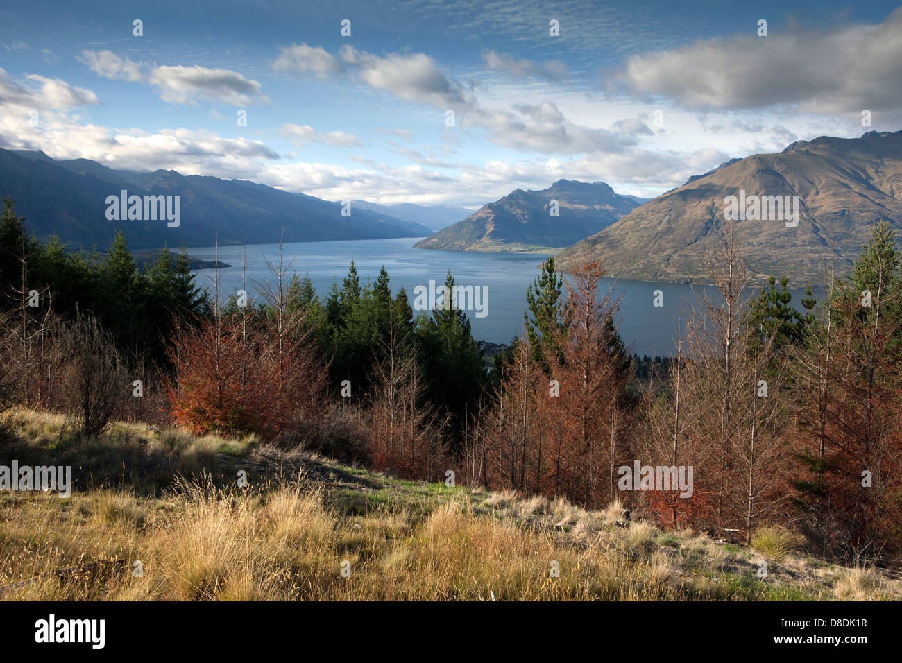 A view of Lake Wakatipu from the Queenstown Hill in the South Island of ...