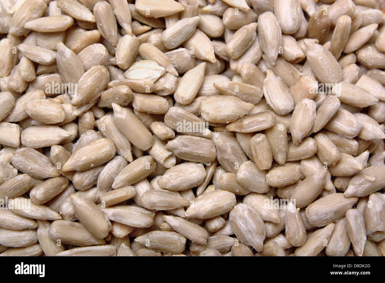 Shelled sunflower seeds Stock Photo Alamy