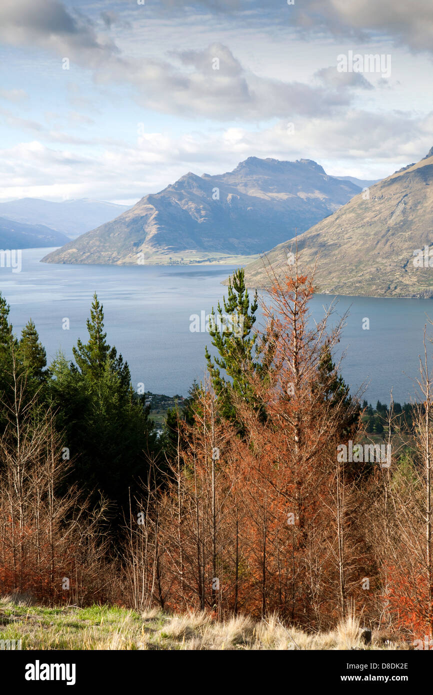 A view of Lake Wakatipu from the Queenstown Hill in the South Island of ...