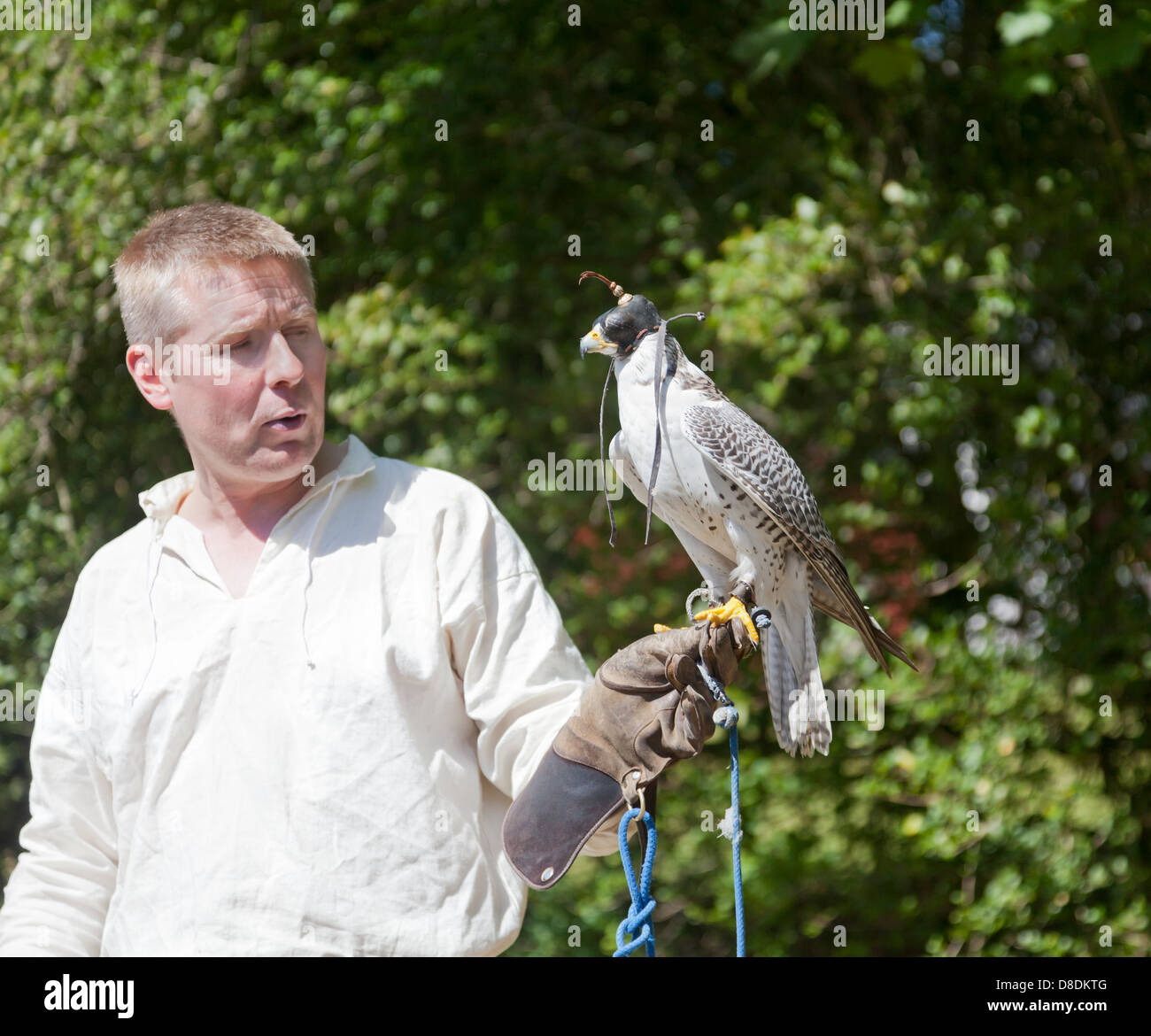 A falconer and his hooded Gyrfalcon, Falco rusticolus, at Mauchline Holy Fair. Stock Photo