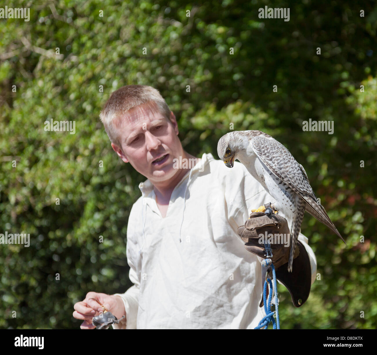 A falconer and his Gyrfalcon , Falco rusticolus, at Mauchline Holy Fair. He is holding the hood which covers the bird's head. Stock Photo