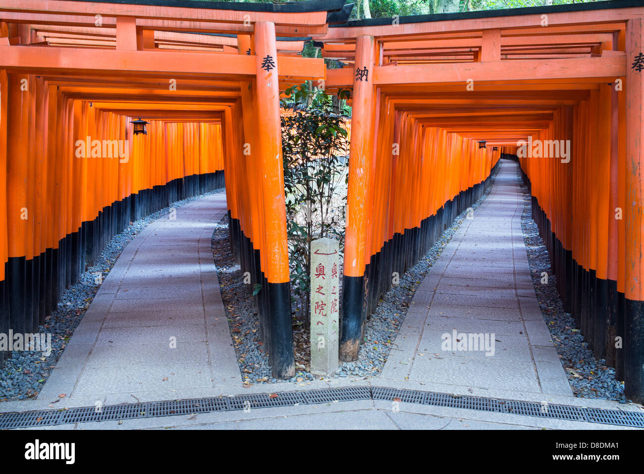 Senbon Torii In Fushimi Inari Taisha Kyoyo Japan Stock Photo Alamy