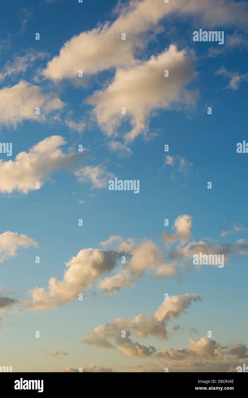 Altocumulus clouds. Blue cloud sky Stock Photo