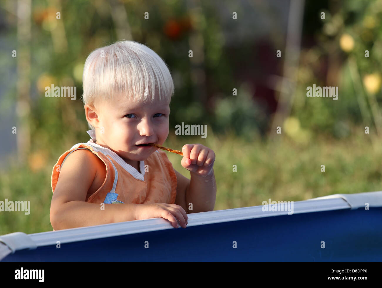 Blond child eating some sticks. Stock Photo