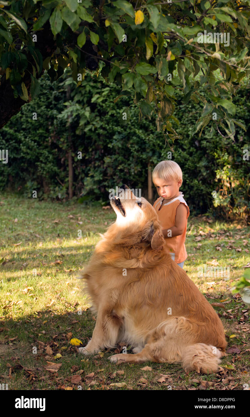 Small boy with golden retriever. Stock Photo