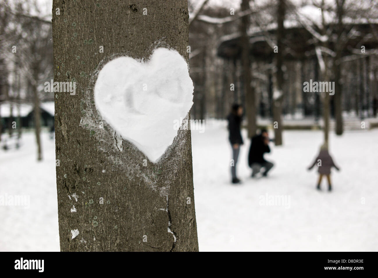 Love heart made of snow on a tree. Stock Photo