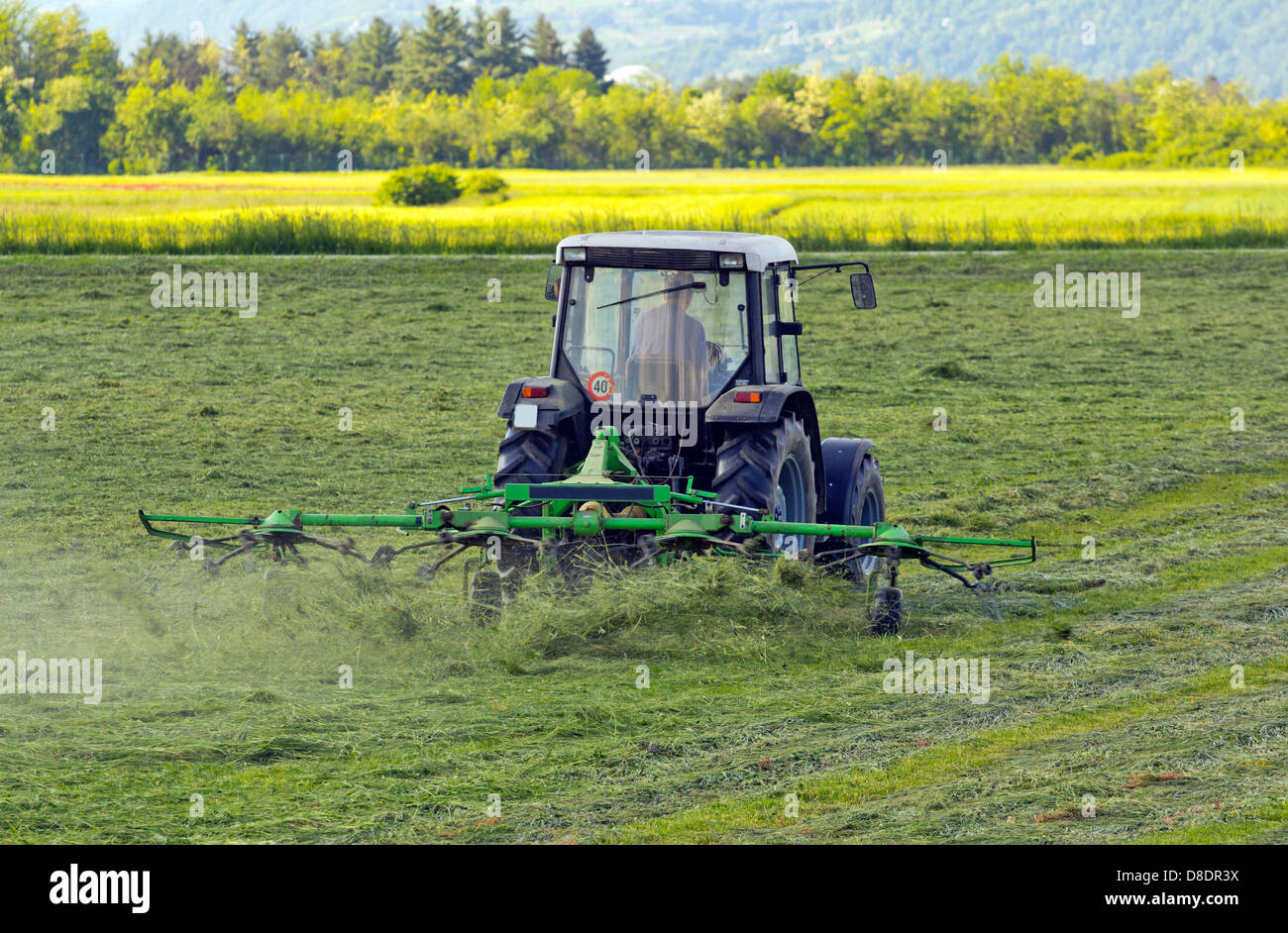 Tractor turning cut hay in a field. Stock Photo