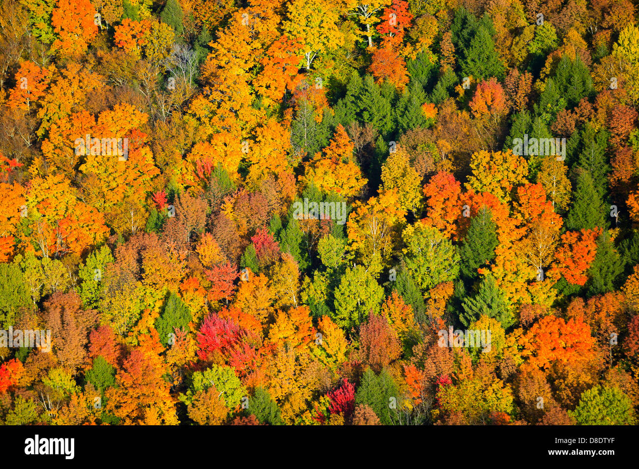 Stowe Vermont Fall Foliage 2025 Thomas Marshall
