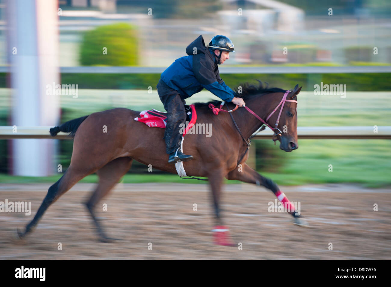 Louisville, Kentucky, Churchill Downs thoroughbred racetrack most