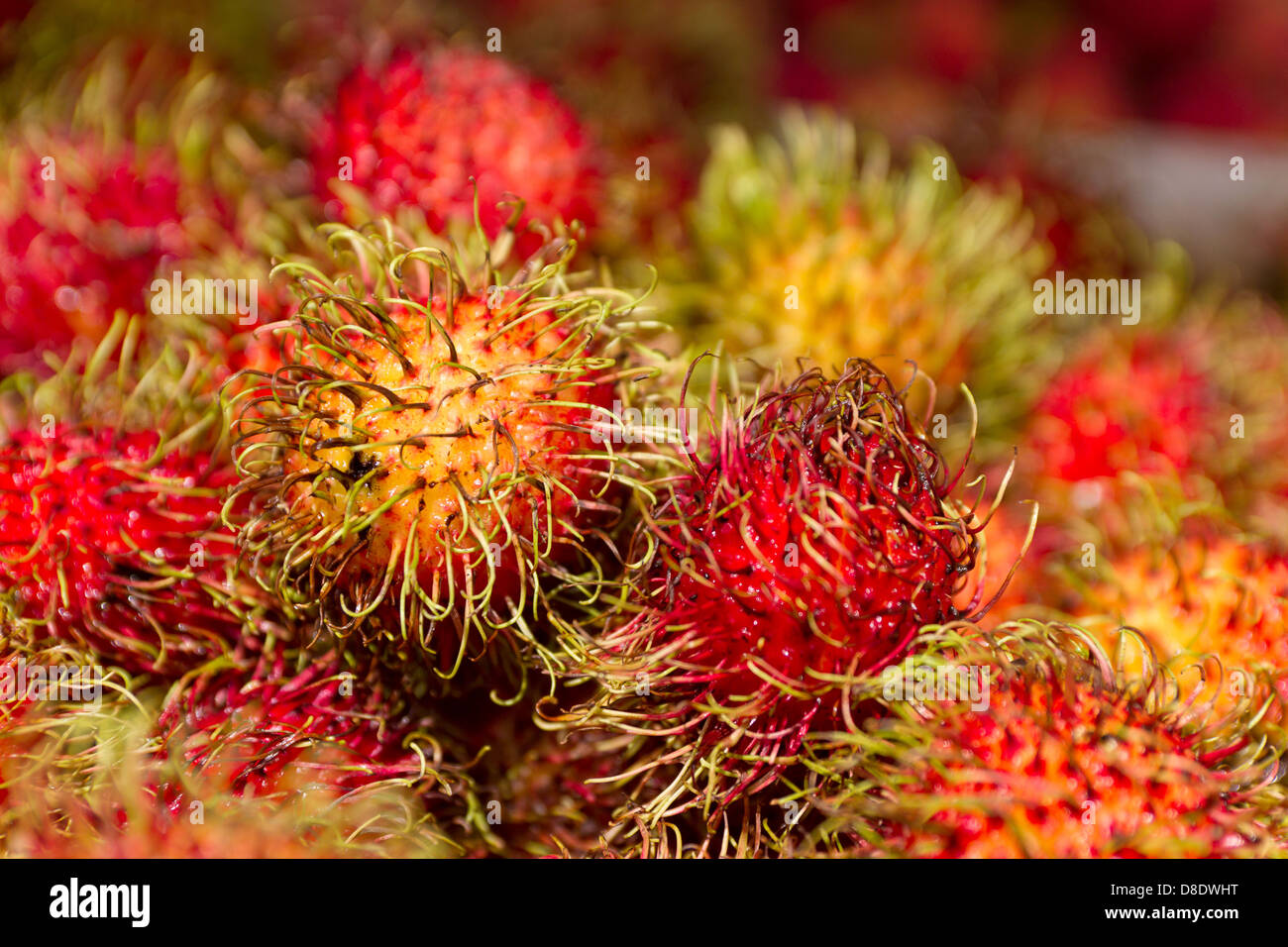 Closeup of rambutan for sale at outdoor market in Toronto's Chinatown Stock Photo