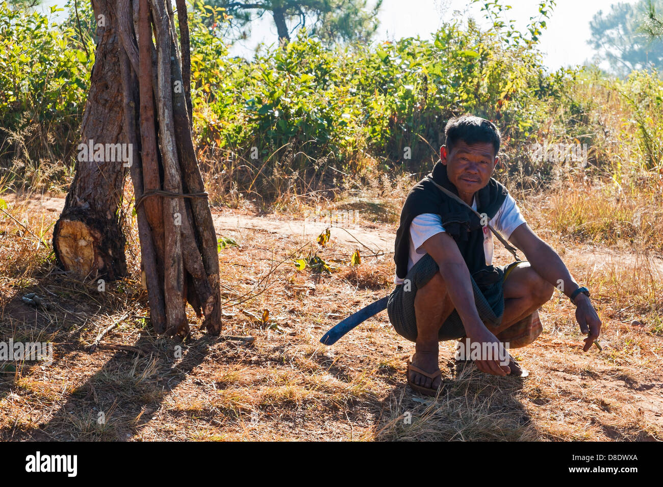 Man carrying firewood, Kalaw, Myanmar Stock Photo