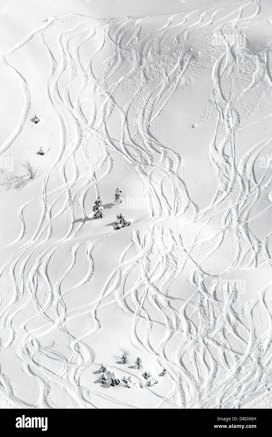 Ski traces on snow in mountains at sunny day Stock Photo