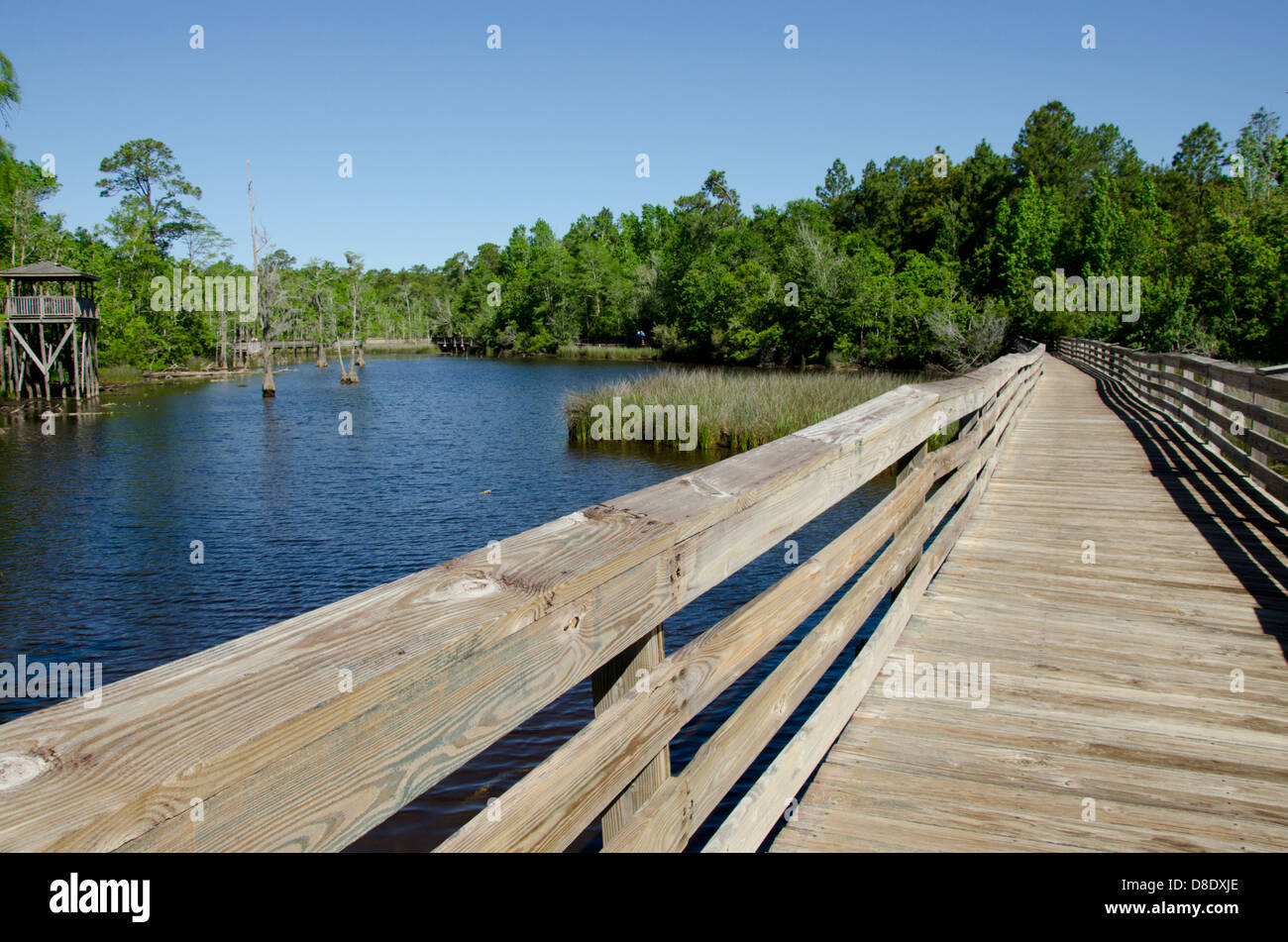 Alabama, Theodore near Mobile. Historic Bellingrath Gardens and Home