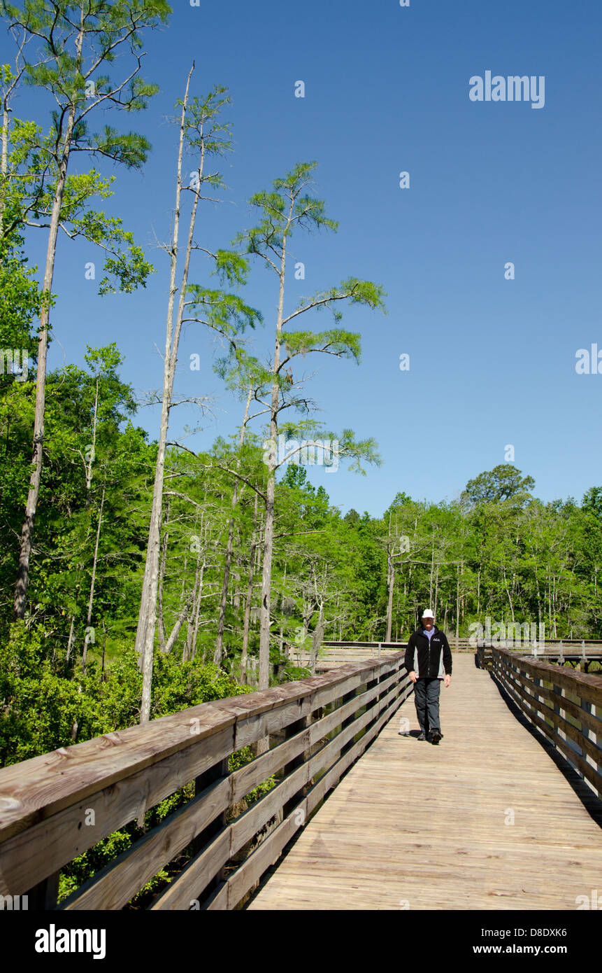 Alabama, Theodore near Mobile. Historic Bellingrath Gardens and Home