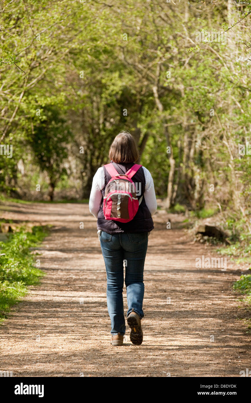 Middle aged woman  walking with rucksack on a path in the woods woodland, Norfolk, East Anglia, UK Stock Photo