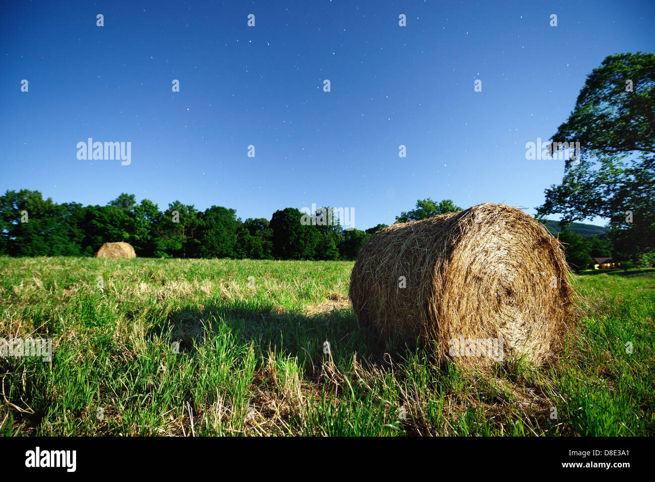 Hay bale in the moonlight Stock Photo