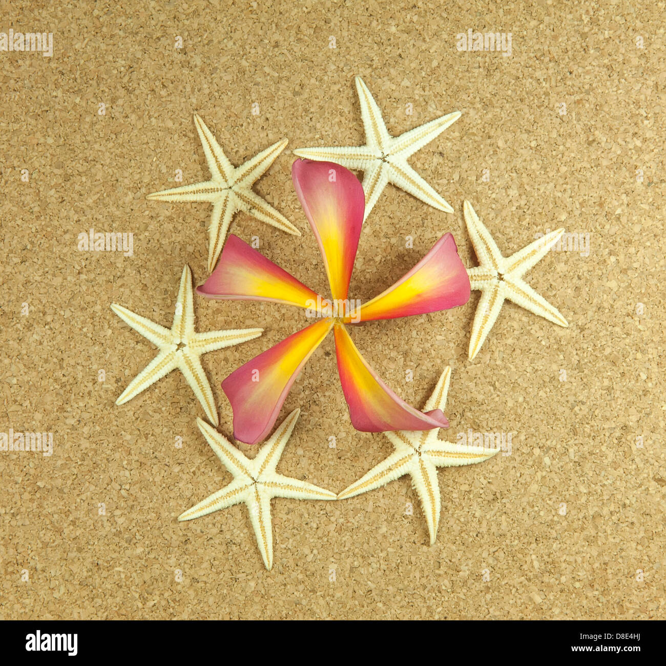 Tropical frame hi-res stock photography and images - Alamy