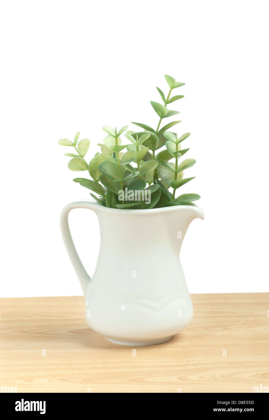 Artificial leafs in small pitcher for home decoration Stock Photo