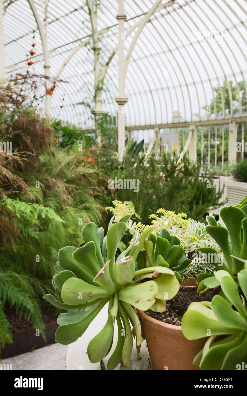 Victorian greenhouse plants hires stock photography and images Alamy