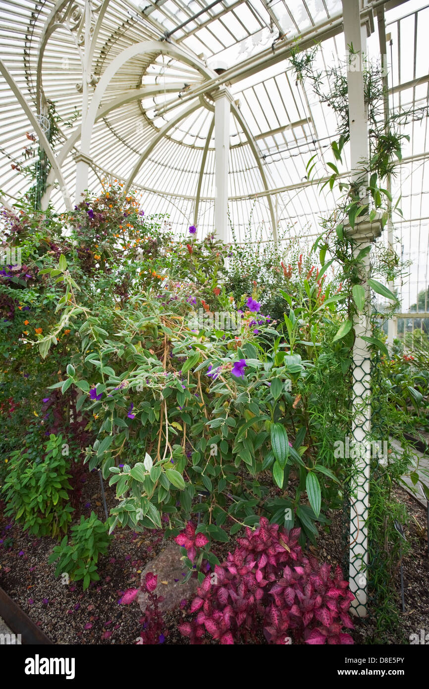 Victorian greenhouse hothouse hires stock photography and images Alamy