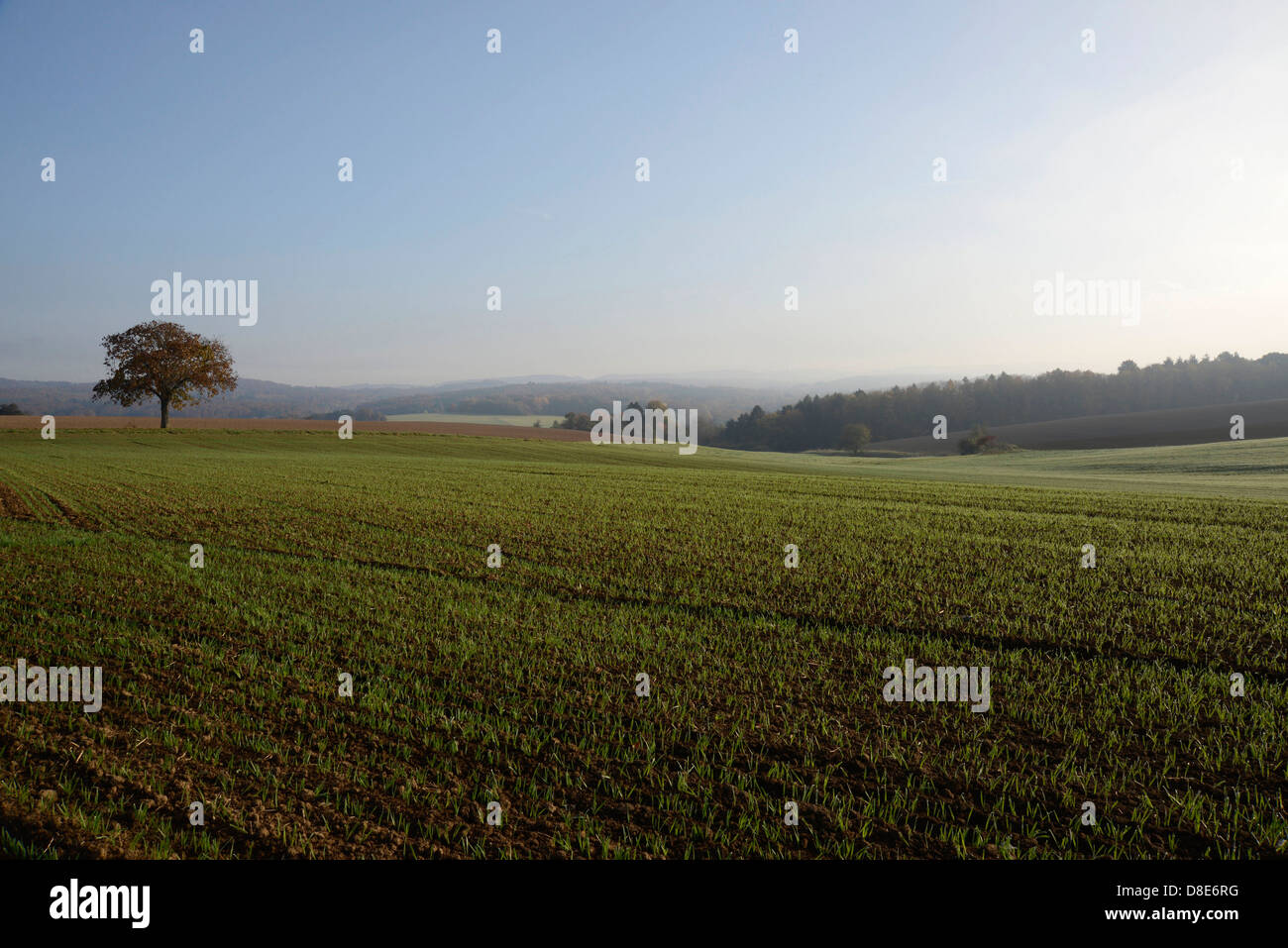 Landscape, Vogelsberg, Hesse, Germany, Europe Stock Photo