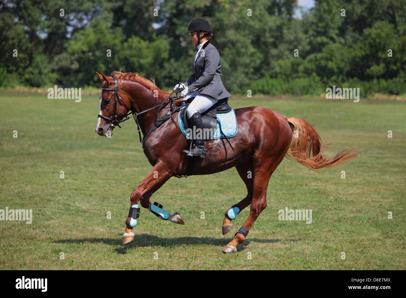 Girl horseback riding English style Stock Photo