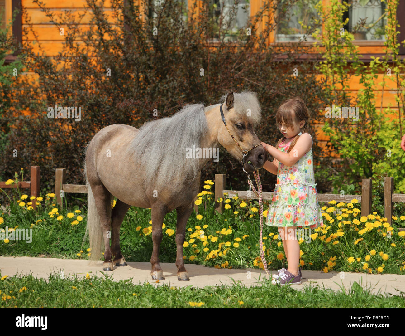 Little girl and her pony Stock Photo