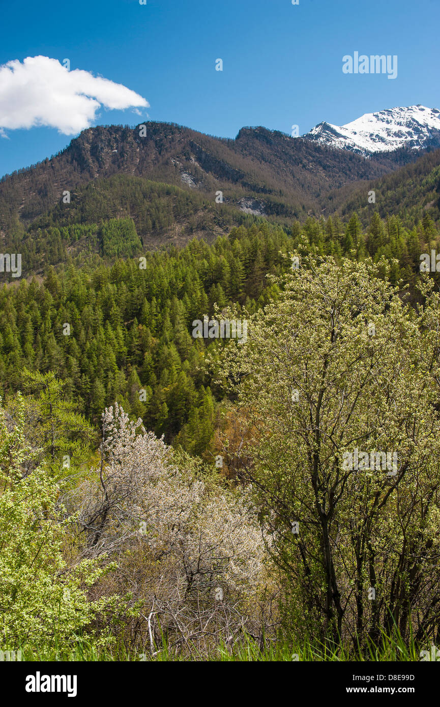 Europe Italy Piemonte, provincia di Torino Chisone Valley Landscapes near Usseax Stock Photo